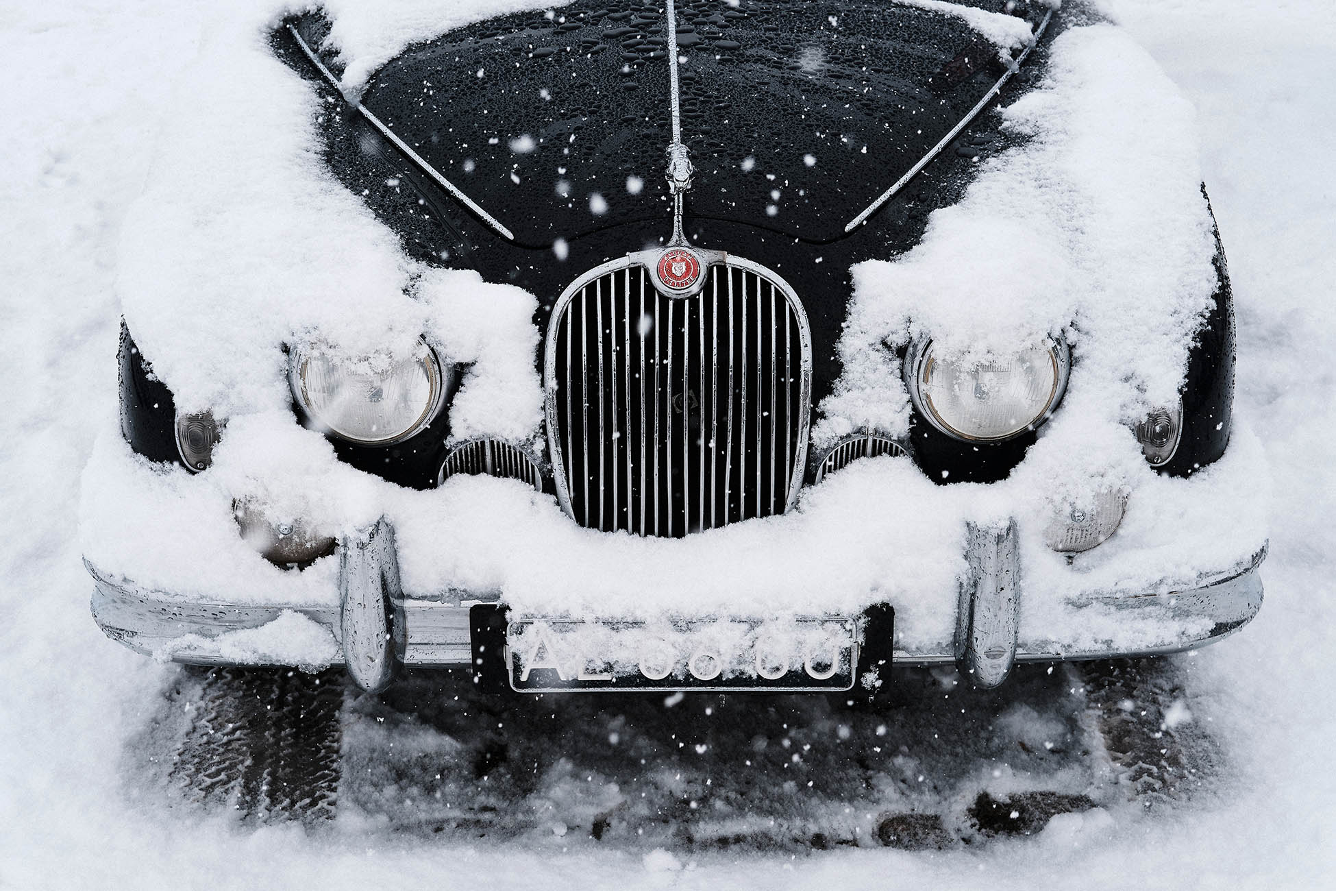 Alpine Classique 2025 Vehicule Jaguar Mk2 3